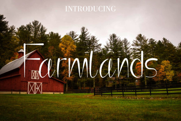 Farmlands: The Playful Display Typeface That Elevates Campaign Visuals