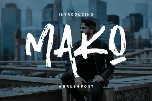 Mako: The Whimsical Display Font That Elevates Campaign Visuals